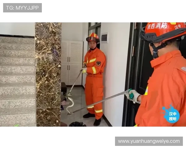 亞博体育手机登录：保障账户安全的全面措施解析