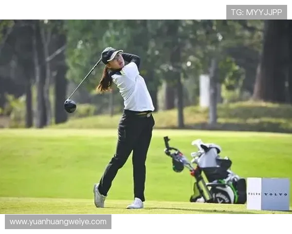 开云体育官方app功能全面介绍，掌握赛事直播、比分资讯、专家推荐等多项核心功能的使用技巧