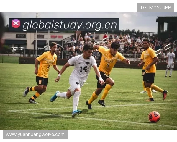 华体会全站直播为用户提供高清流畅的体育赛事实时直播观看服务