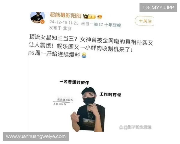 娱乐华娱才是顶流，揭秘娱乐行业顶流明星背后的团队运营与营销策略