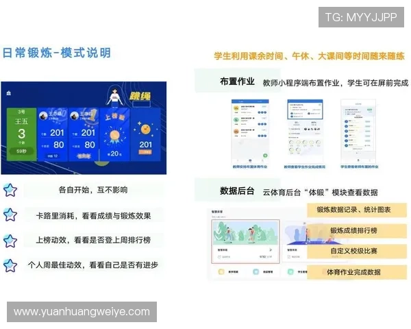 华体会数字站：结合大数据分析提升体育内容个性化推荐的实用技巧